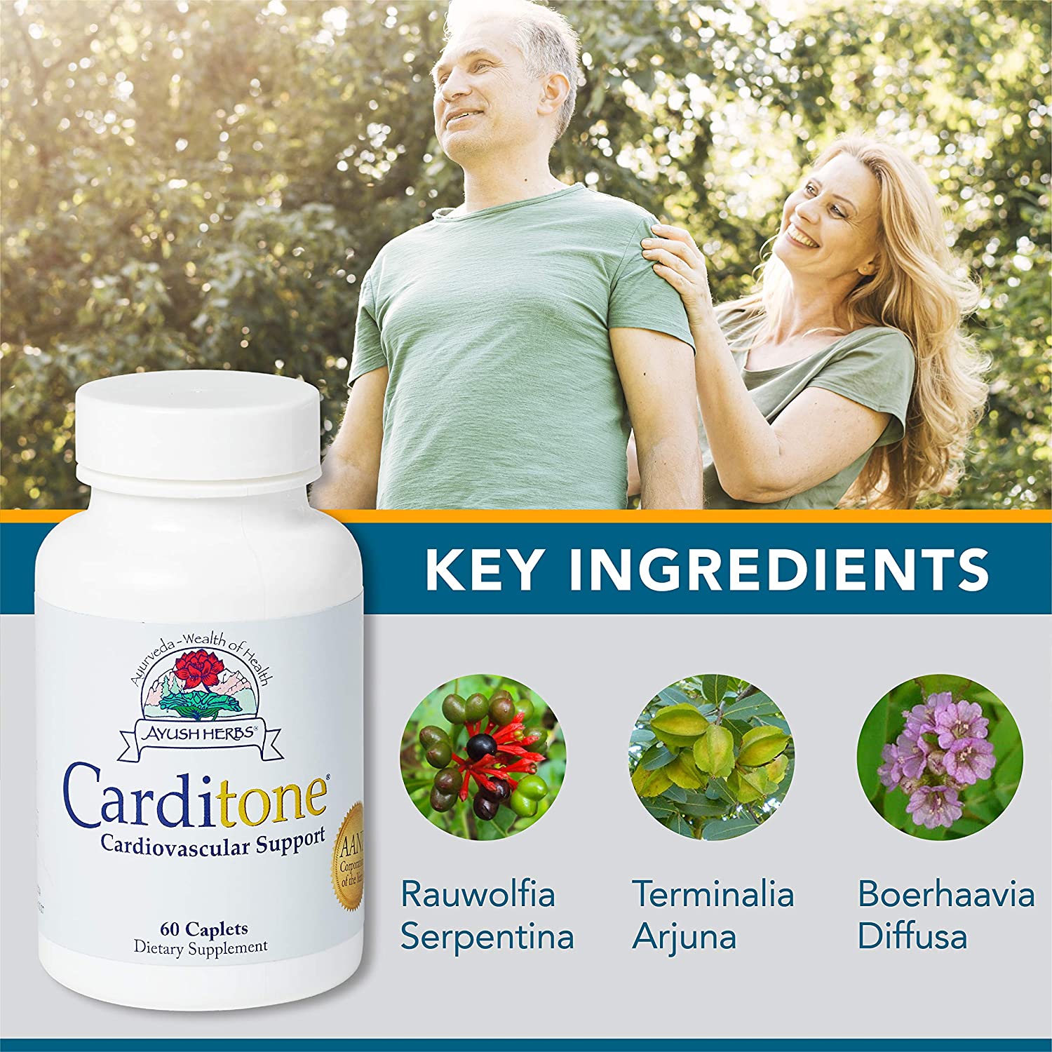 Ayush Herbs Carditone, Unbeatable Blood Pressure and Cardiovascular Support Herbal Supplement, 60 Tablets - Image 5